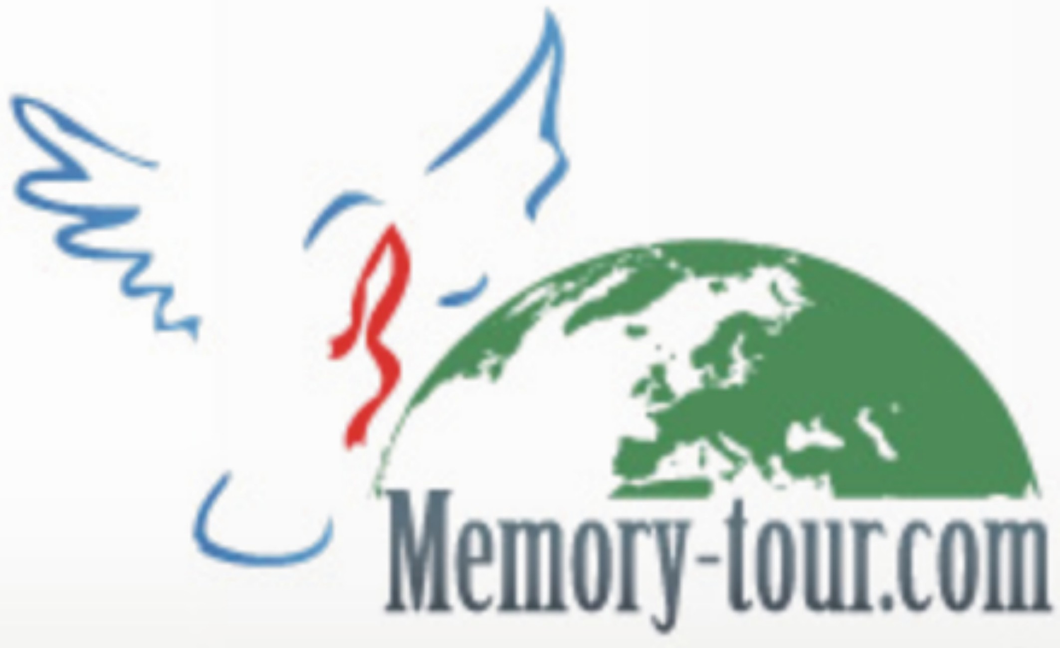 Www память ru. Memory Tour logo.